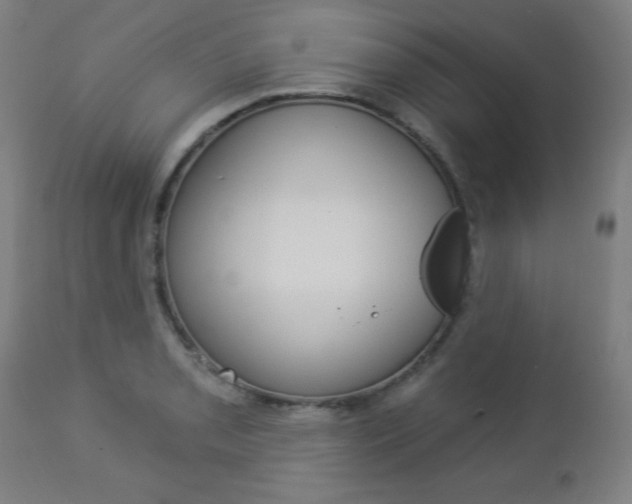 X0000112961085200908270914