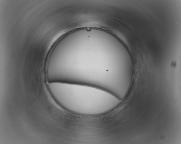X0000112961087200908270914