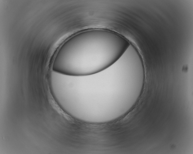 X0000112961088200908270914