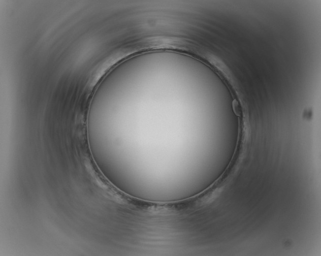X0000112961089200908270914
