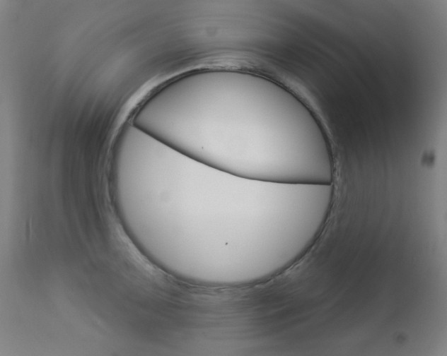 X0000112961091200908270914