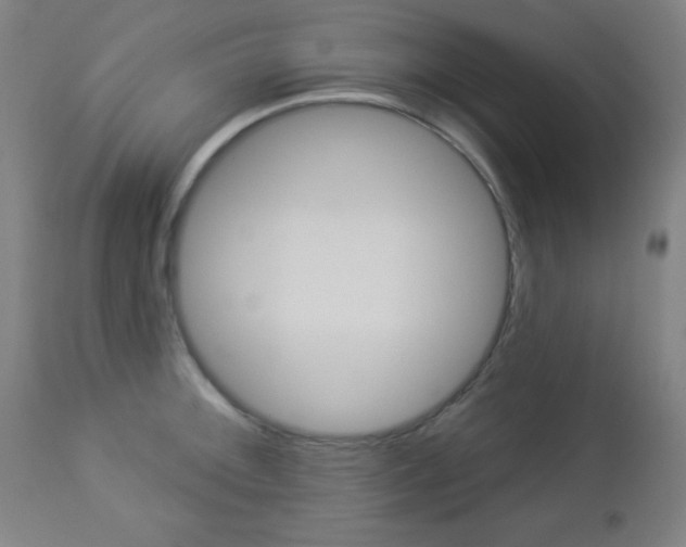 X0000112961092200908270914