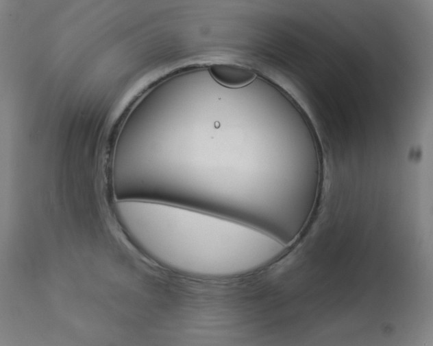 X0000112961093200908270914