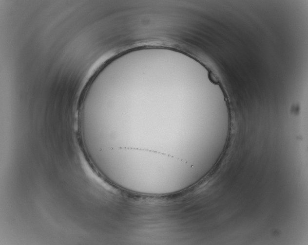 X0000112961095200908270914