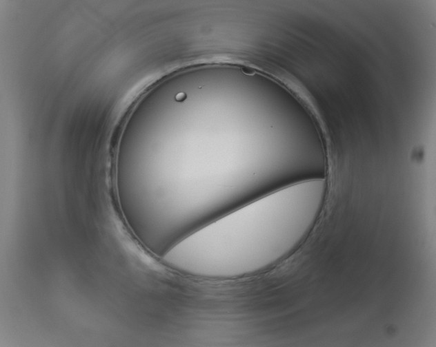 X0000112961096200908270914