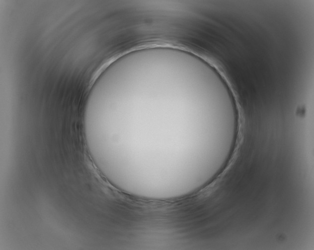 X0000112961097200908270914