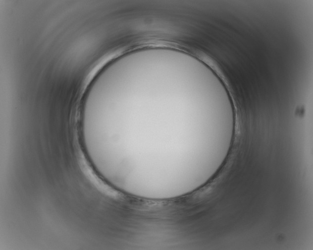 X0000112961098200908270914