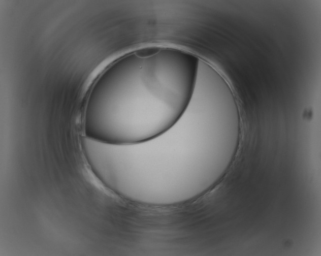 X0000112961100200908270914