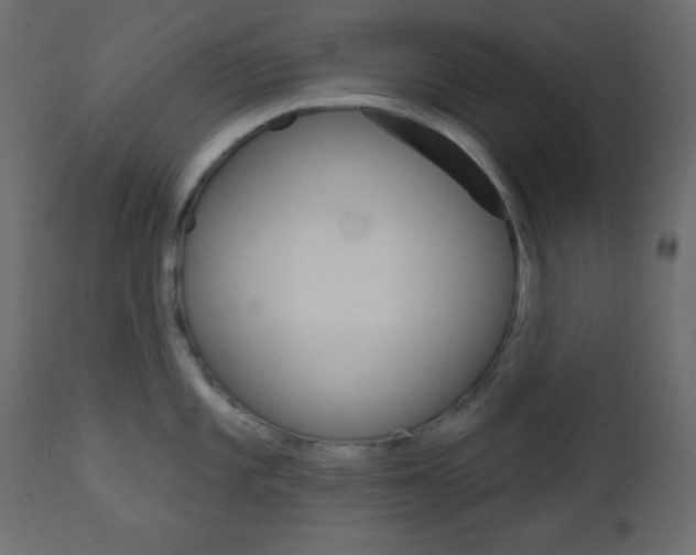 X0000112961101200908270914