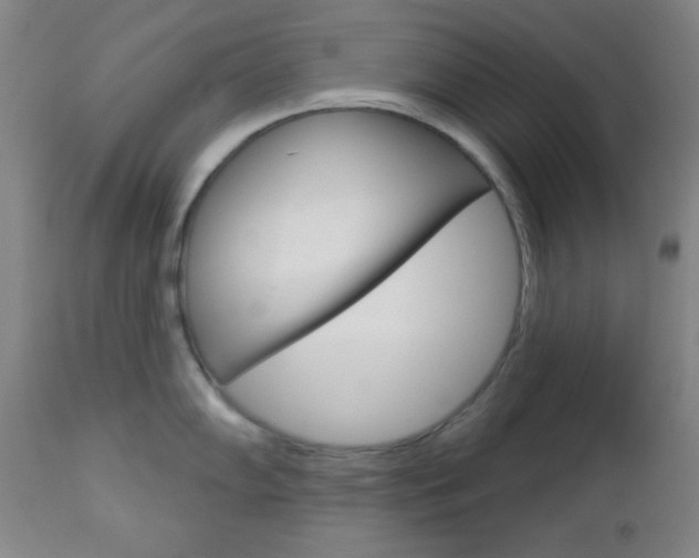 X0000112961102200908270914
