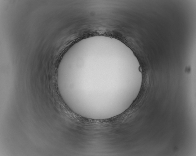 X0000112961105200908270913