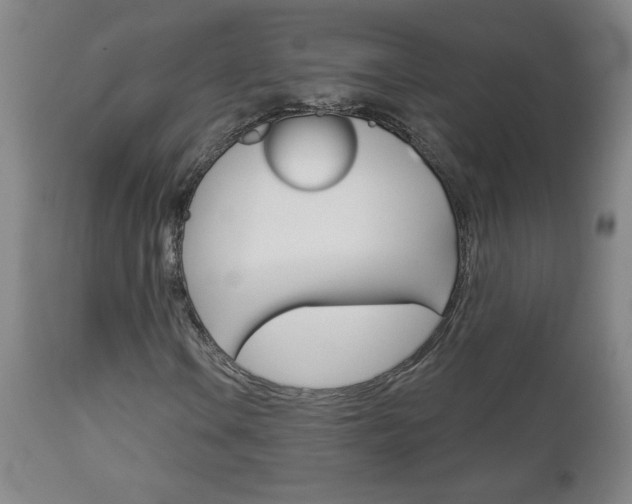 X0000112961106200908270913