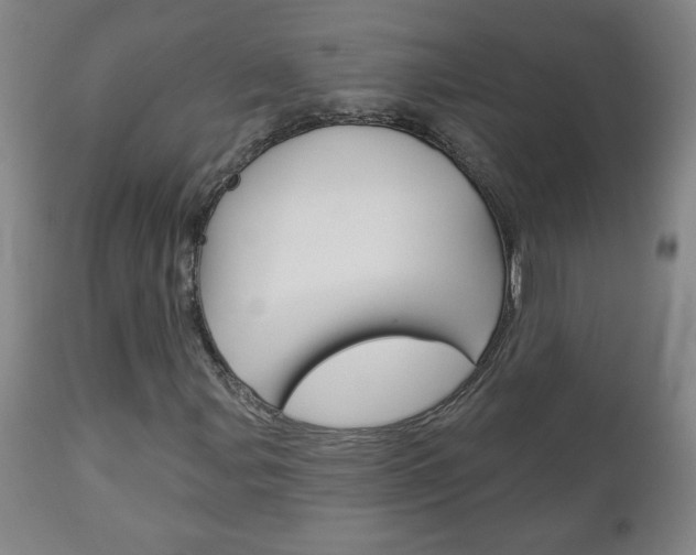 X0000112961107200908270913