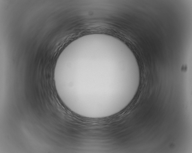 X0000112961108200908270913
