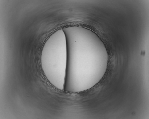 X0000112961109200908270913