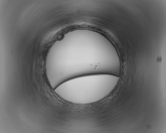 X0000112961111200908270913