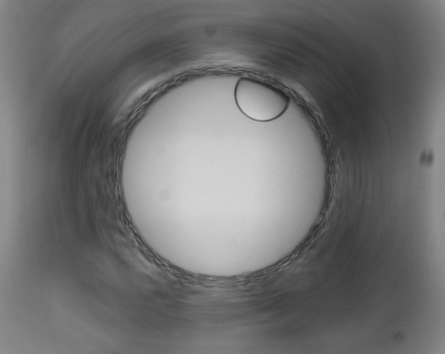 X0000112961112200908270913