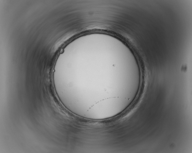 X0000112961113200908270913