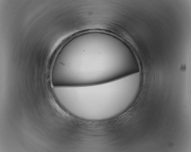 X0000112961116200908270913