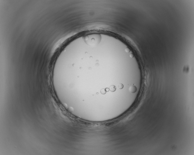 X0000112961117200908270913