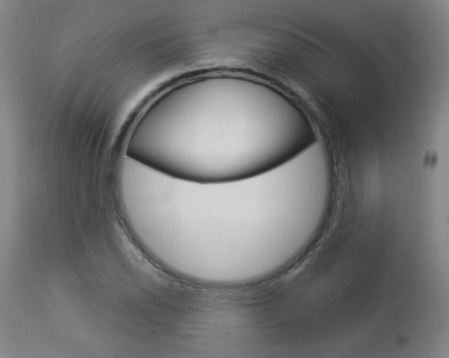X0000112961118200908270913