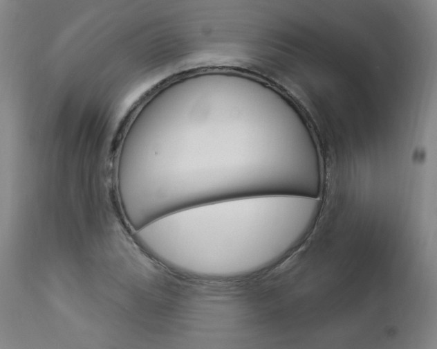 X0000112961119200908270913
