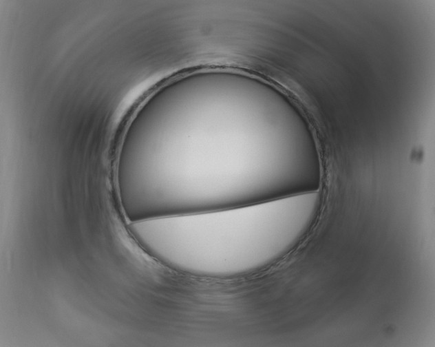 X0000112961120200908270913