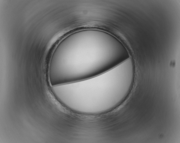 X0000112961122200908270913