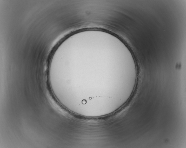 X0000112961126200908270913