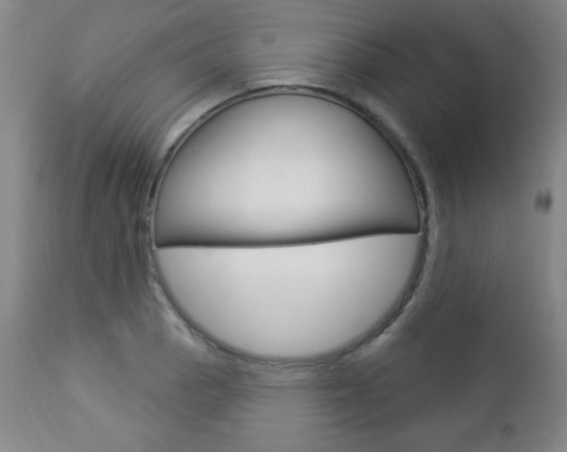 X0000112961129200908270913