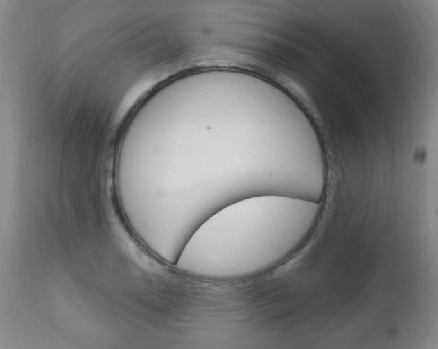 X0000112961130200908270913