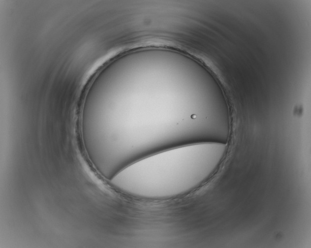 X0000112961134200908270913