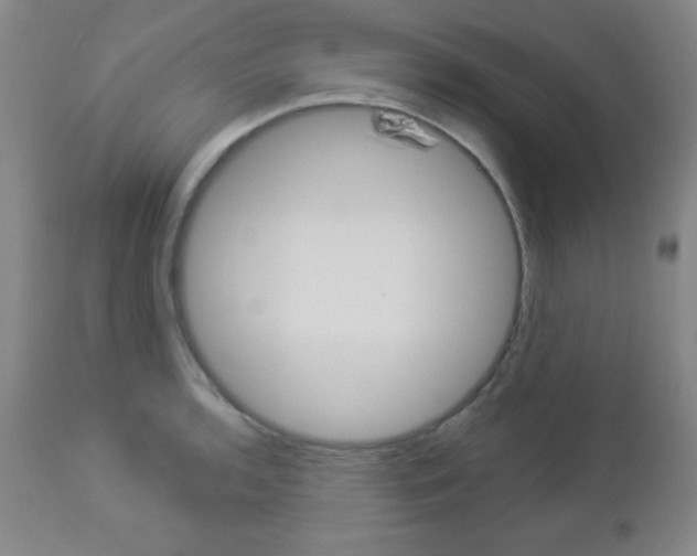 X0000112961136200908270913