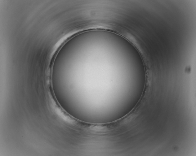 X0000112961140200908270913