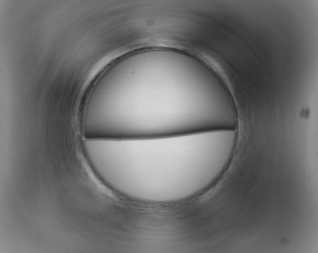 X0000112961141200908270913