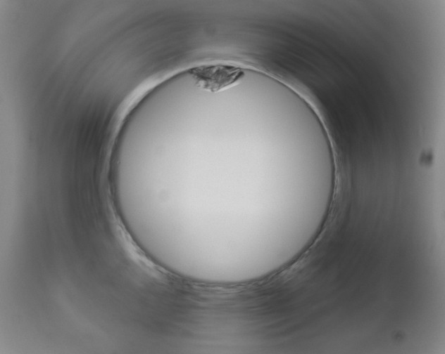 X0000112961144200908270913