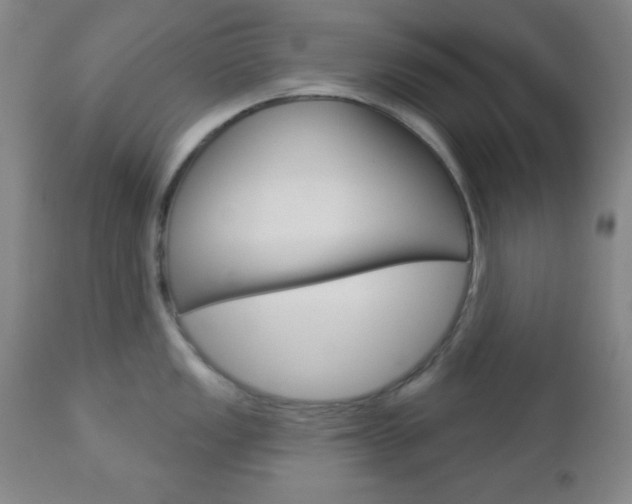 X0000112961149200908270913