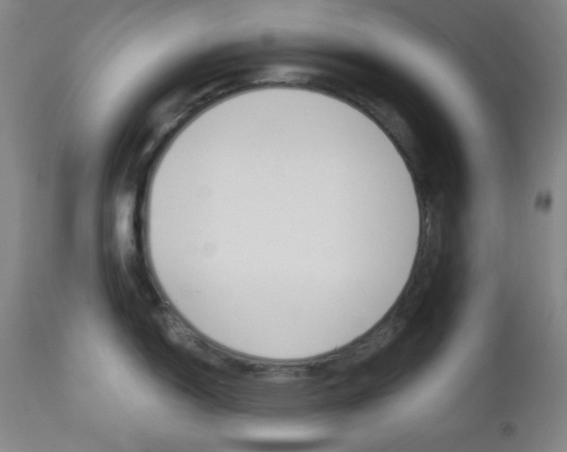 X0000112961150200908270913