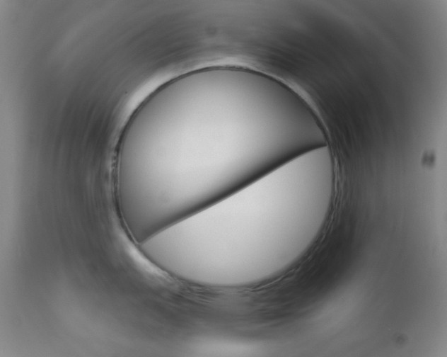 X0000112961151200908270914