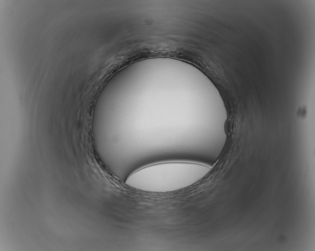 X0000112961153200908270913