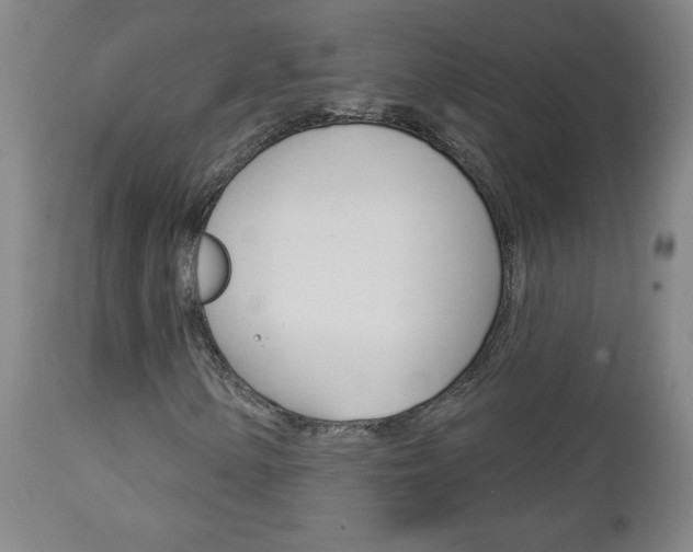 X0000112961154200908270913