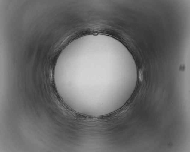 X0000112961155200908270913