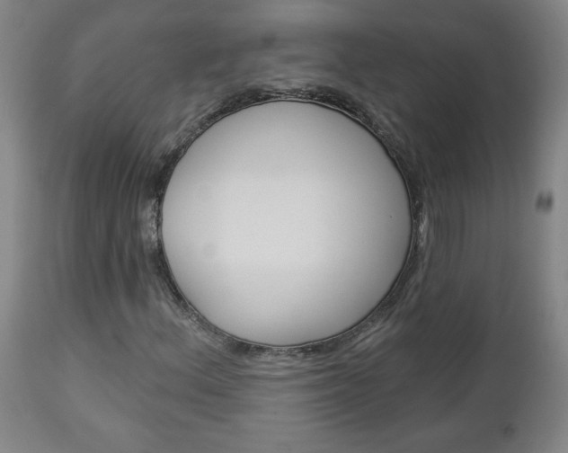 X0000112961156200908270913
