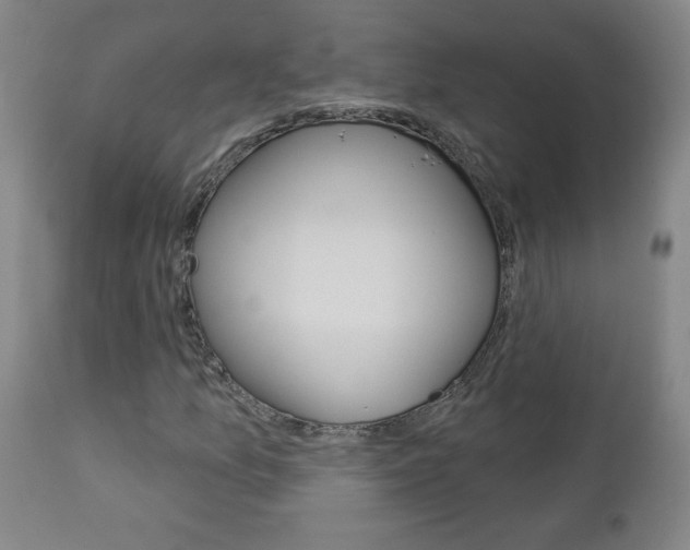 X0000112961157200908270913