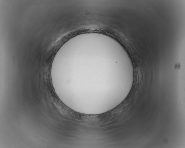 X0000112961158200908270913