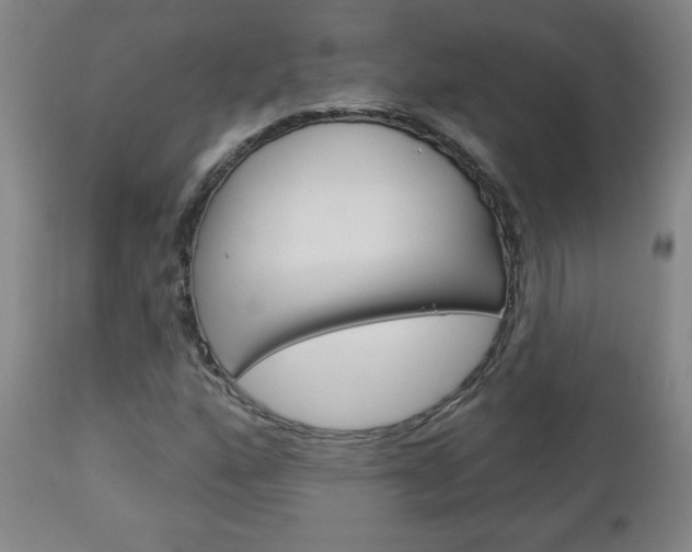 X0000112961160200908270912