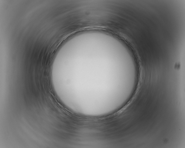 X0000112961161200908270912