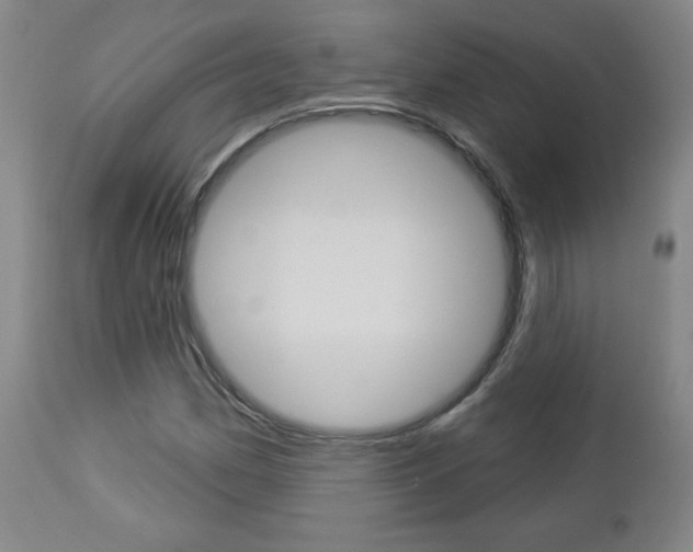 X0000112961162200908270912