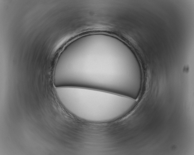 X0000112961163200908270912