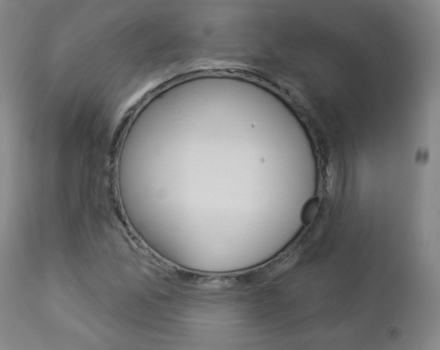 X0000112961165200908270912